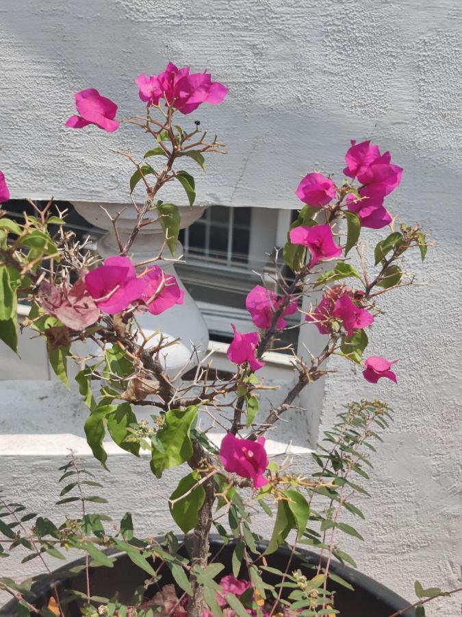Yoga House Διαμέρισμα Vanivilasa Puram Εξωτερικό φωτογραφία