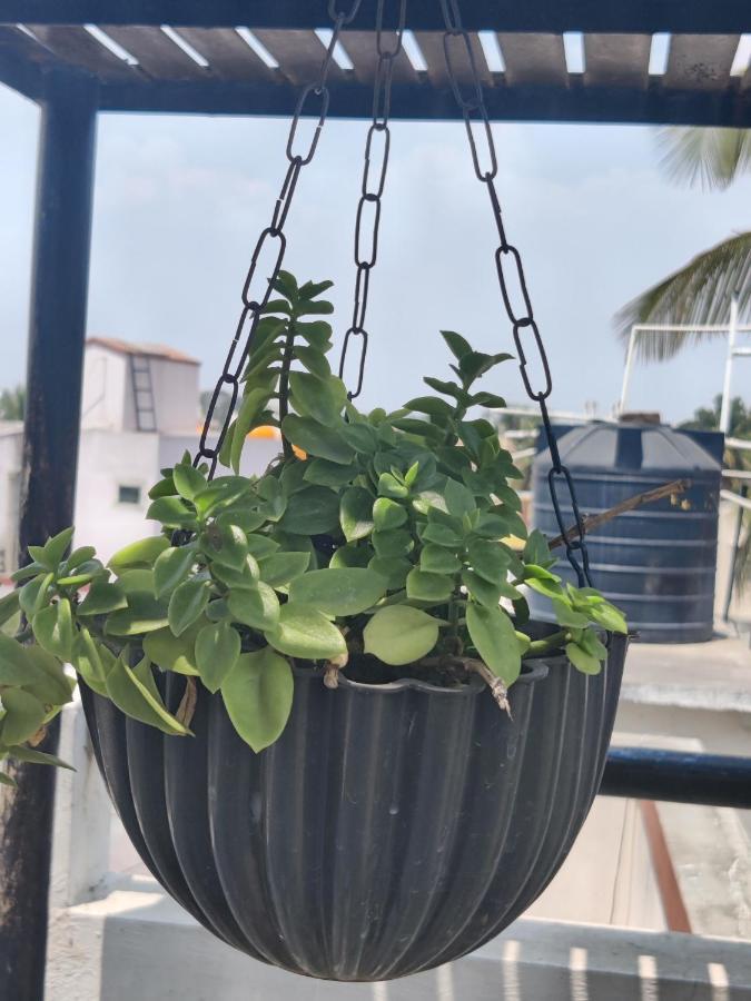 Yoga House Διαμέρισμα Vanivilasa Puram Εξωτερικό φωτογραφία